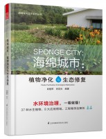 海綿城市：植物凈化與生態(tài)修復(fù)