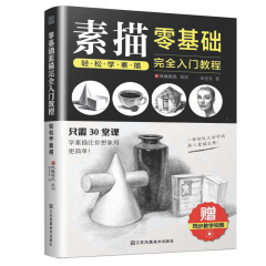 零基礎(chǔ)素描完全入門教程：輕松學(xué)素描