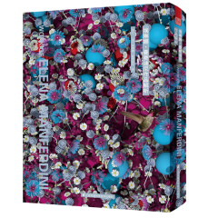 埃琳娜·曼費迪尼作品解析