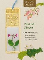 BM-WF8花草之二月蘭