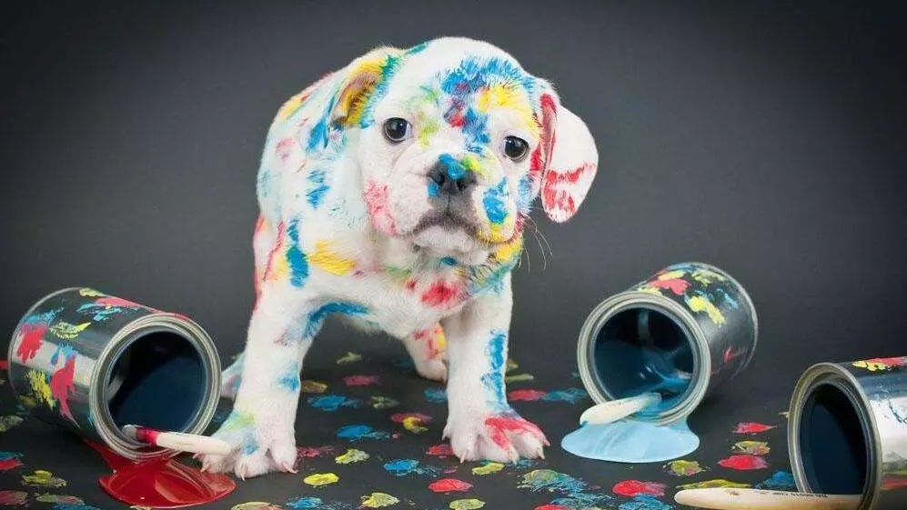 2018全球藝術(shù)設(shè)計(jì)專(zhuān)業(yè)高校排名50強(qiáng)，內(nèi)地3所院校上榜