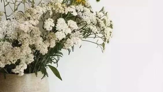 這樣插花，即使花謝了屋子依然會很美