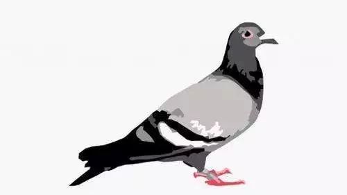 1本書讀懂設計之道，10堂課通曉創意之術