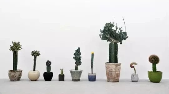 真正有靈魂的設計，靈感都是源于自然