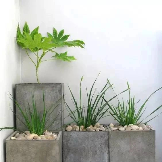 這里的水泥磚創意，別的地方找不到