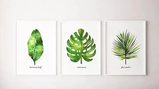 畫里都是我愛的綠植！