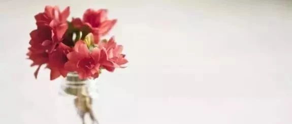 新的一年，擺上這些植物，旺家旺財(cái)又旺運(yùn)