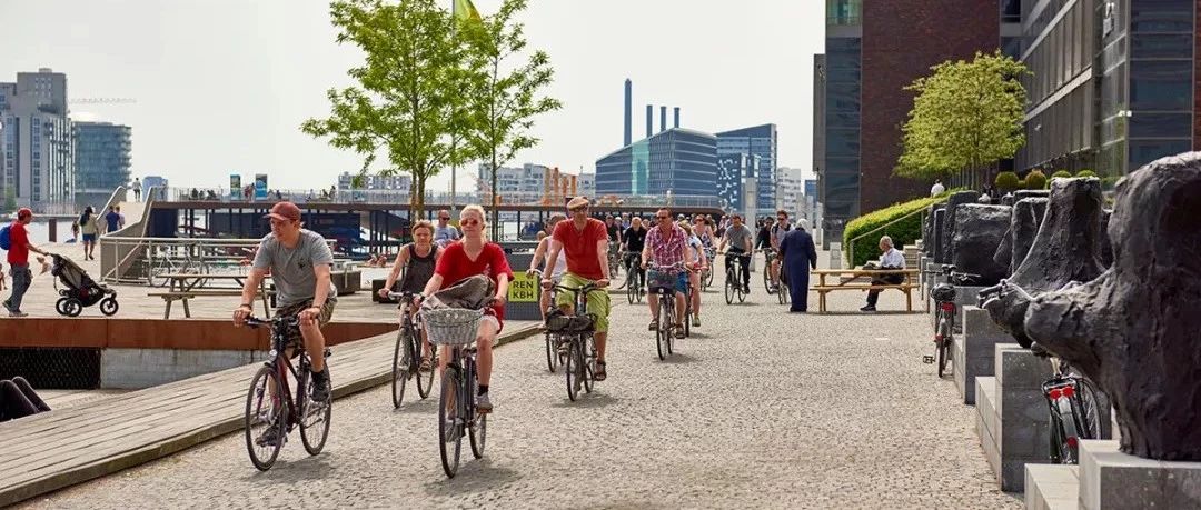 ofo涼了，但只有自行車和公共交通，才能救城市