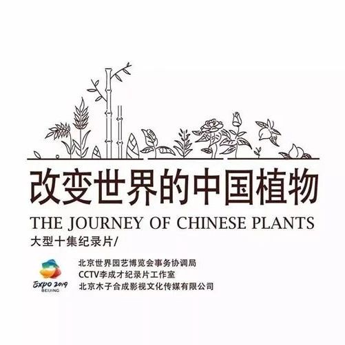 紀錄片《改變世界的中國植物》殺青，帶你感知人類文明長河中植物的力量