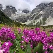 紀錄片《改變世界的中國植物》殺青，帶你感知人類文明長河中植物的力量