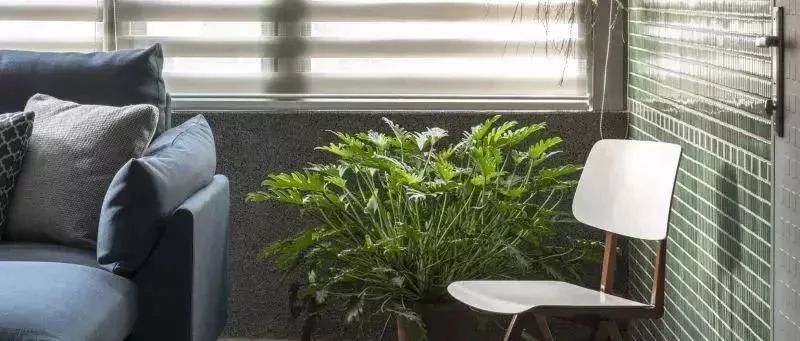 混搭風(fēng)家居，一抹新綠迎春節(jié)~