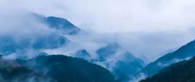 她游遍大江南北，成為令人羨慕的民宿體驗師，把民宿的故事寫成詩