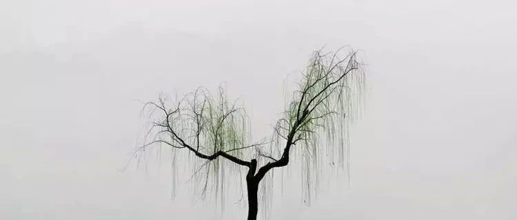 你是不是越來越喜歡簡單？