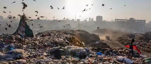 解決500年不腐不爛的塑料垃圾，這些可持續設計超乎你的想象