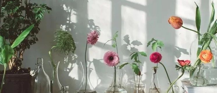 誰都能學會的家居擺設法，讓你的家從“丑到哭”到“美到爆”