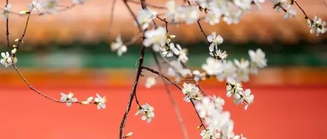 天青、月白、黛藍(lán)、妃紅……好聽好看的中國(guó)色彩與色值，你值得get