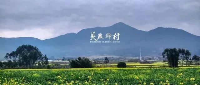 3億人出走后的中國(guó)農(nóng)村，將何去何從？