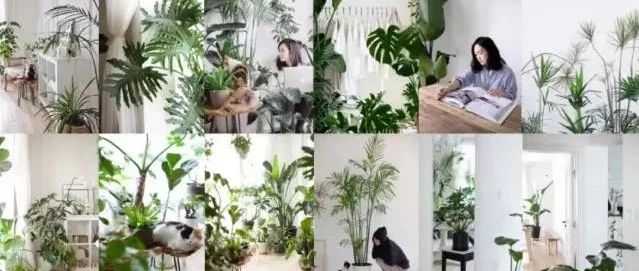 沒錢也能過上好日子的終極策略