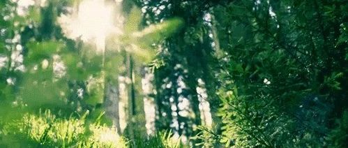 這樣的空間能幫你趕走壞情緒！點開送好禮！