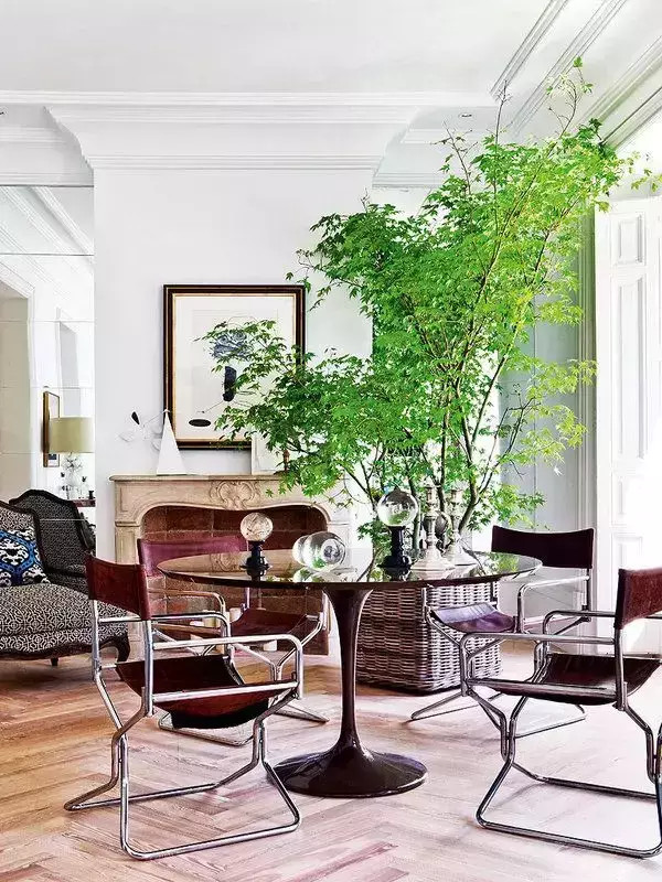 不懂花草又想養？室內植物生活新提案